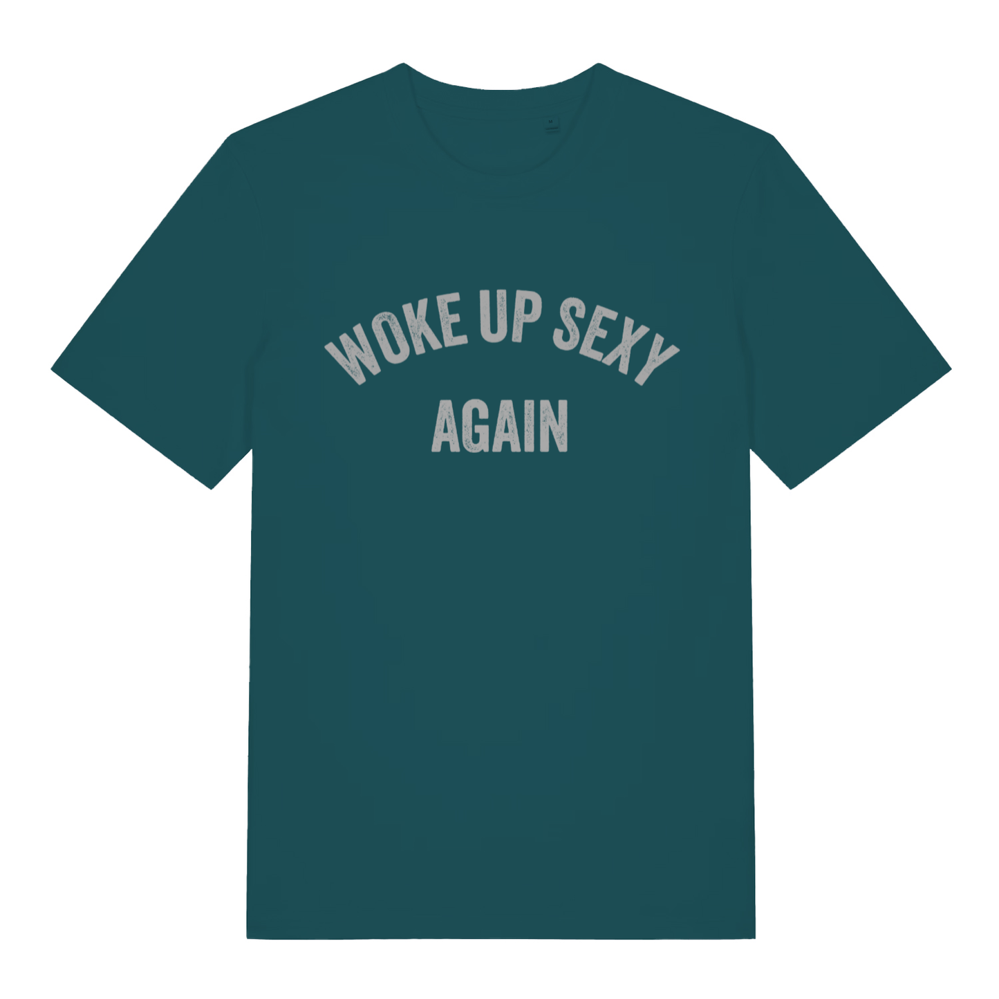Stargazer Woke Up Sexy Again women’s funny slogan t-shirt showing distressed woke up sexy print