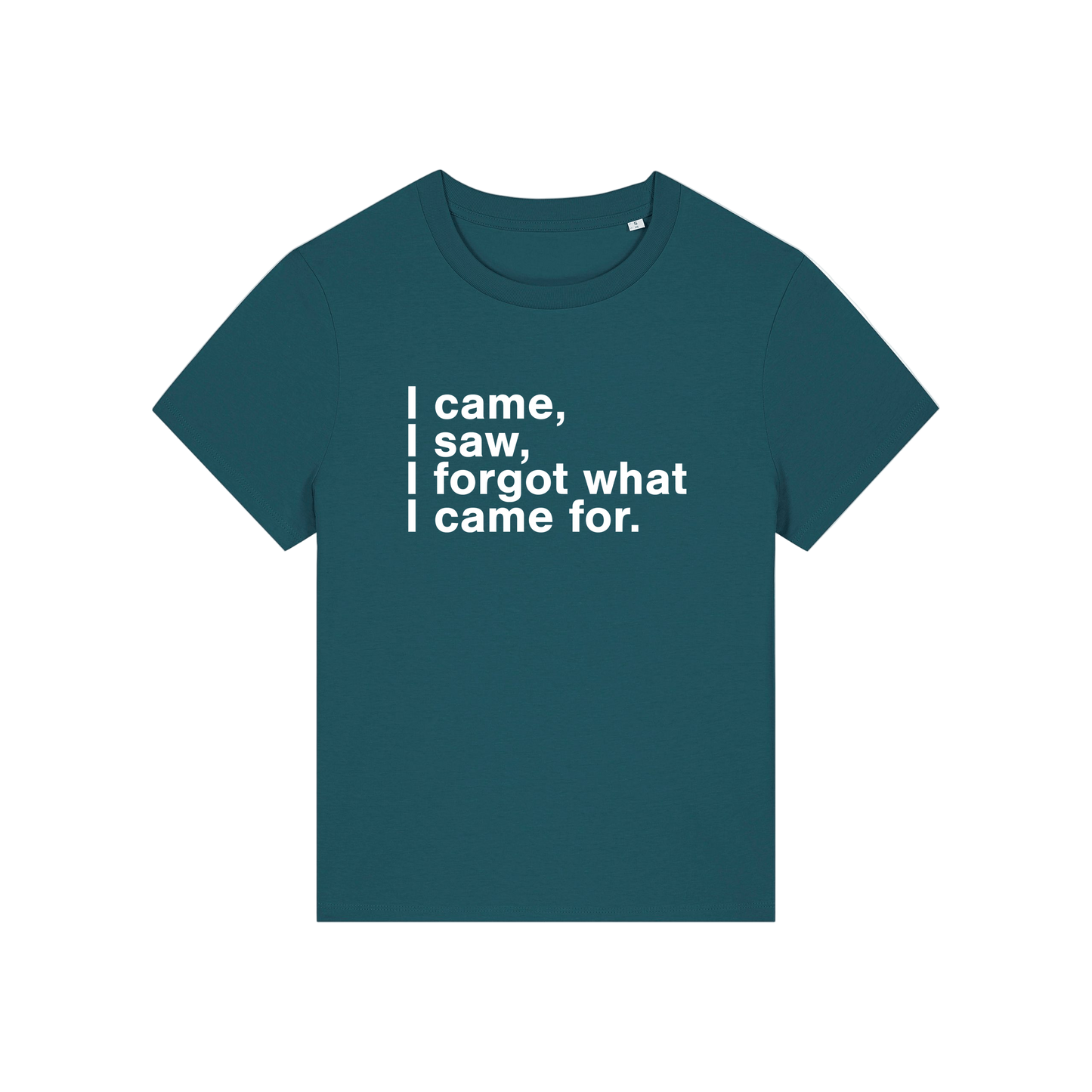 teal funny slogan t-shirt that reads 'i came, i saw, i forgot what i came for'