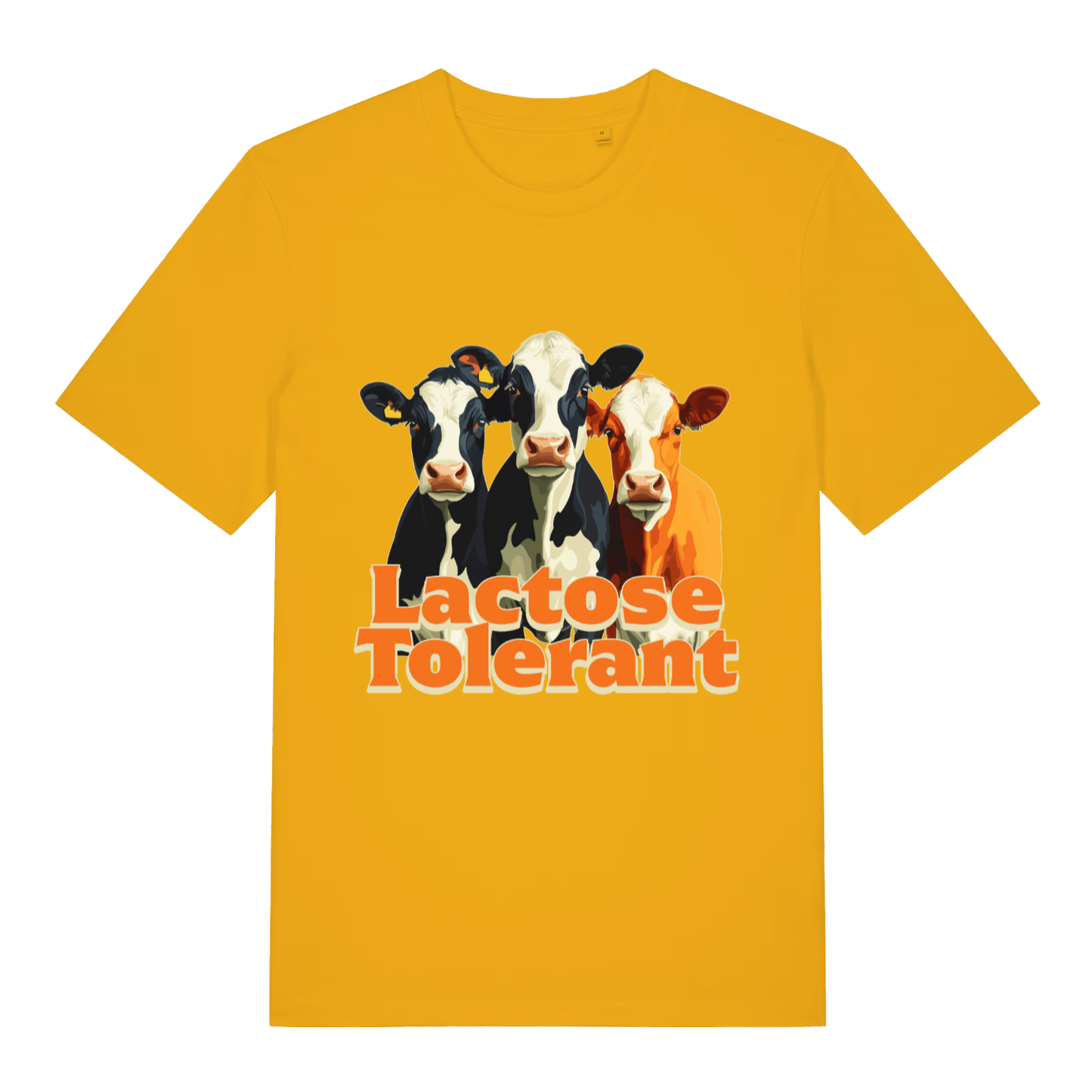 Yellow Lactose Tolerant funny graphic t-shirt featuring cows and sharp “Lactose Tolerant” lettering