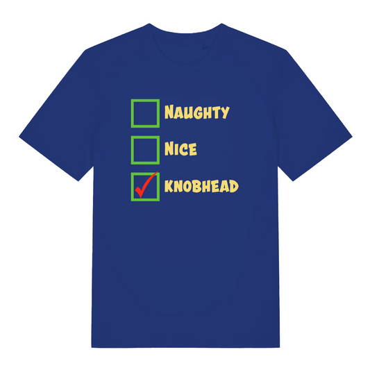 blue christmas t-shirt with the words 'naughty nice knob'