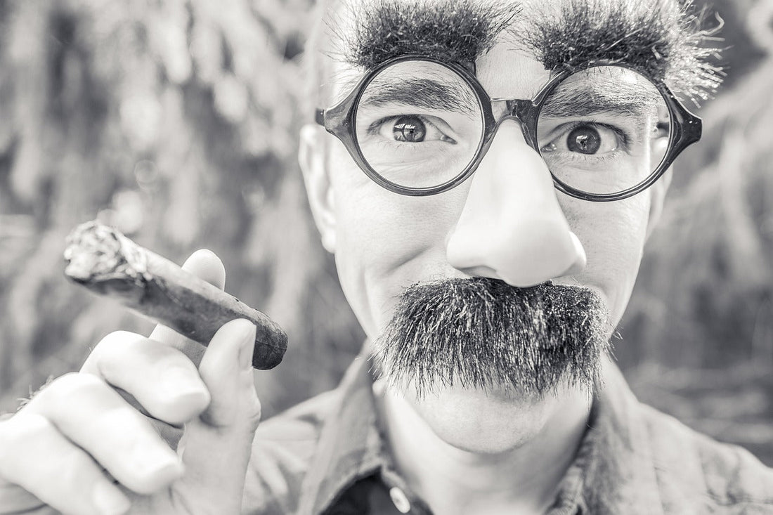 A person wearing a fake nose, glasses, and bushy mustache holds a cigar with a playful expression. The image is in black and white.