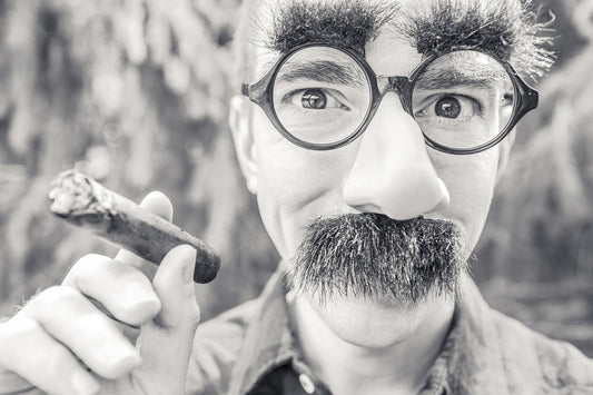 A person wearing a fake nose, glasses, and bushy mustache holds a cigar with a playful expression. The image is in black and white.