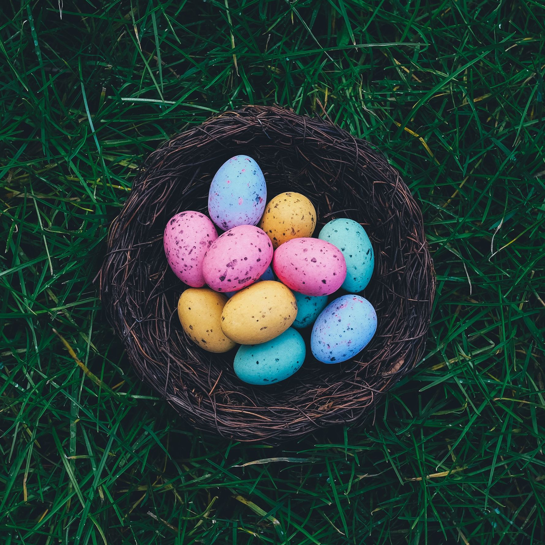 Hoppin' Mad: Teevolution's Take on Easter Celebrations