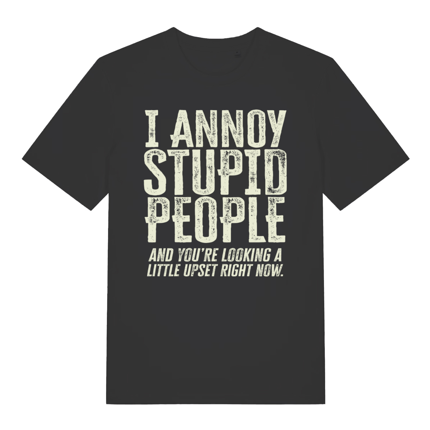 Black "I Annoy Stupid People" funny sarcastic t-shirt flat lay, savage witty slogan organic cotton tee printed in UK