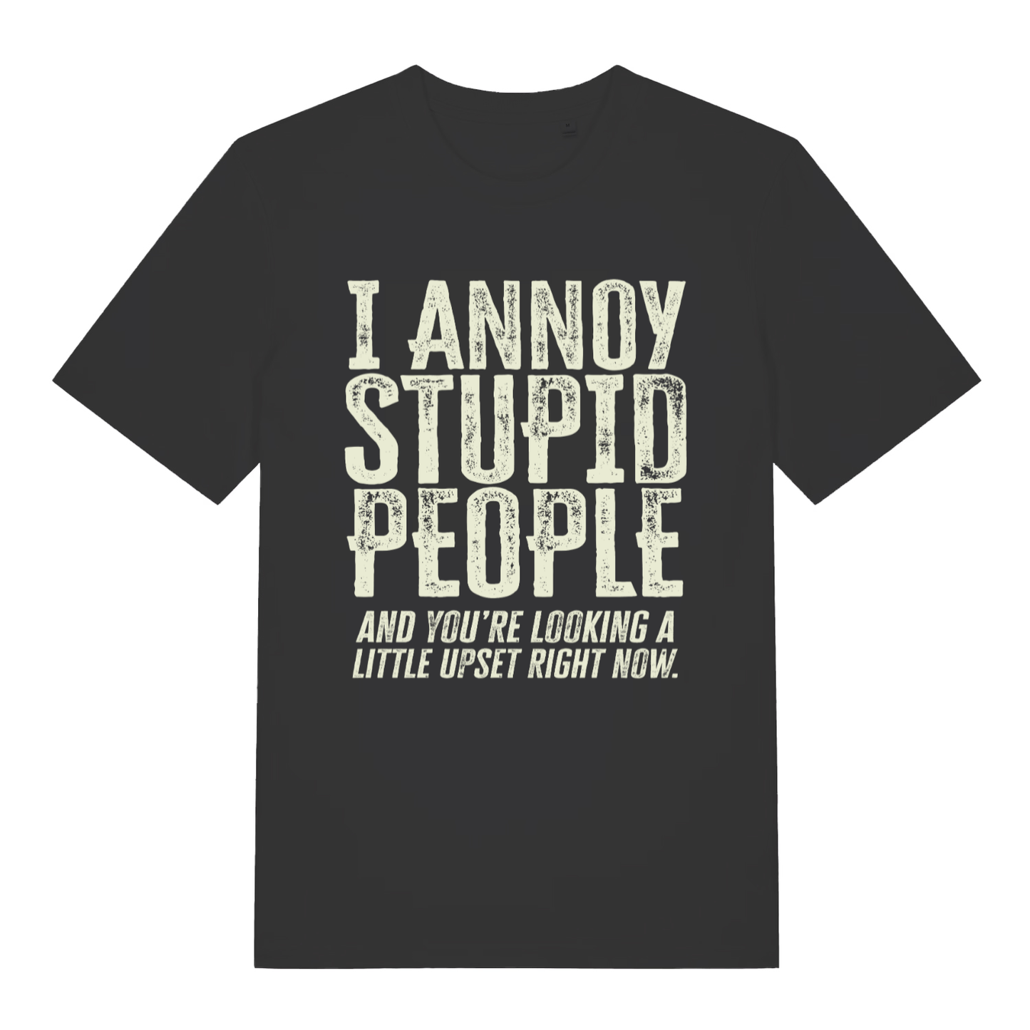 Black women's "I Annoy Stupid People" funny sarcastic t-shirt flat lay, savage witty slogan organic cotton ladies tee printed in UK