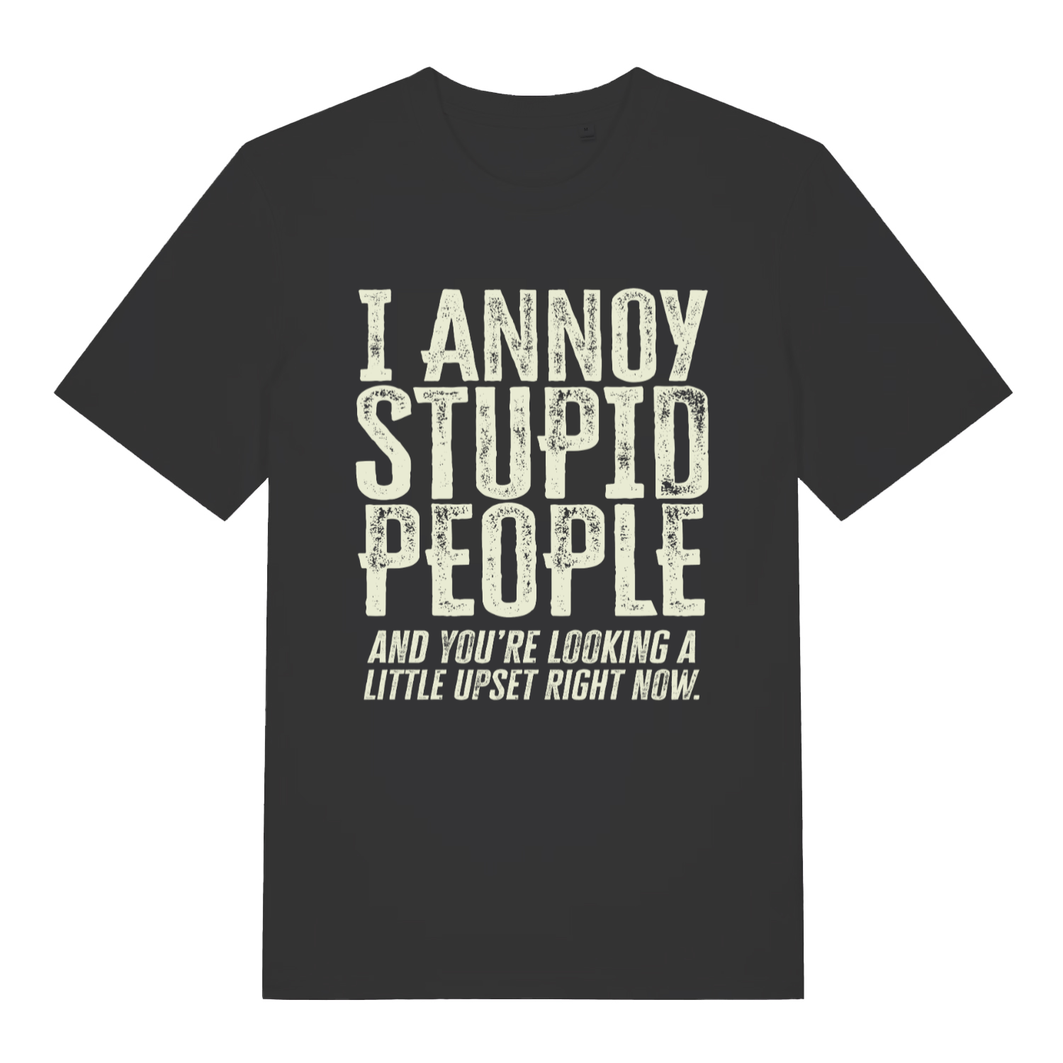 Black women's "I Annoy Stupid People" funny sarcastic t-shirt flat lay, savage witty slogan organic cotton ladies tee printed in UK