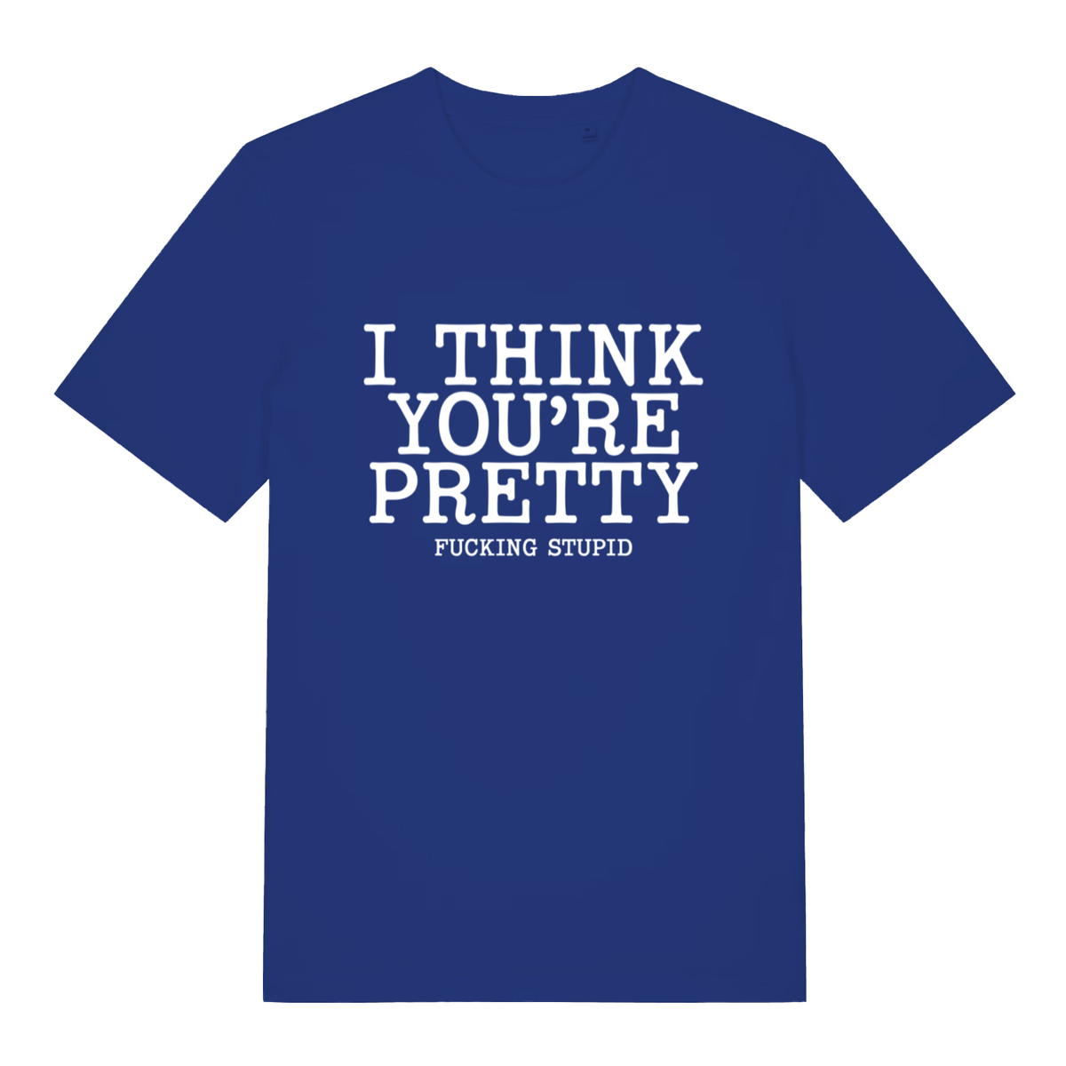 Blue Think You’re Pretty women’s funny rude slogan t-shirt with witty pretty fucking stupid print  