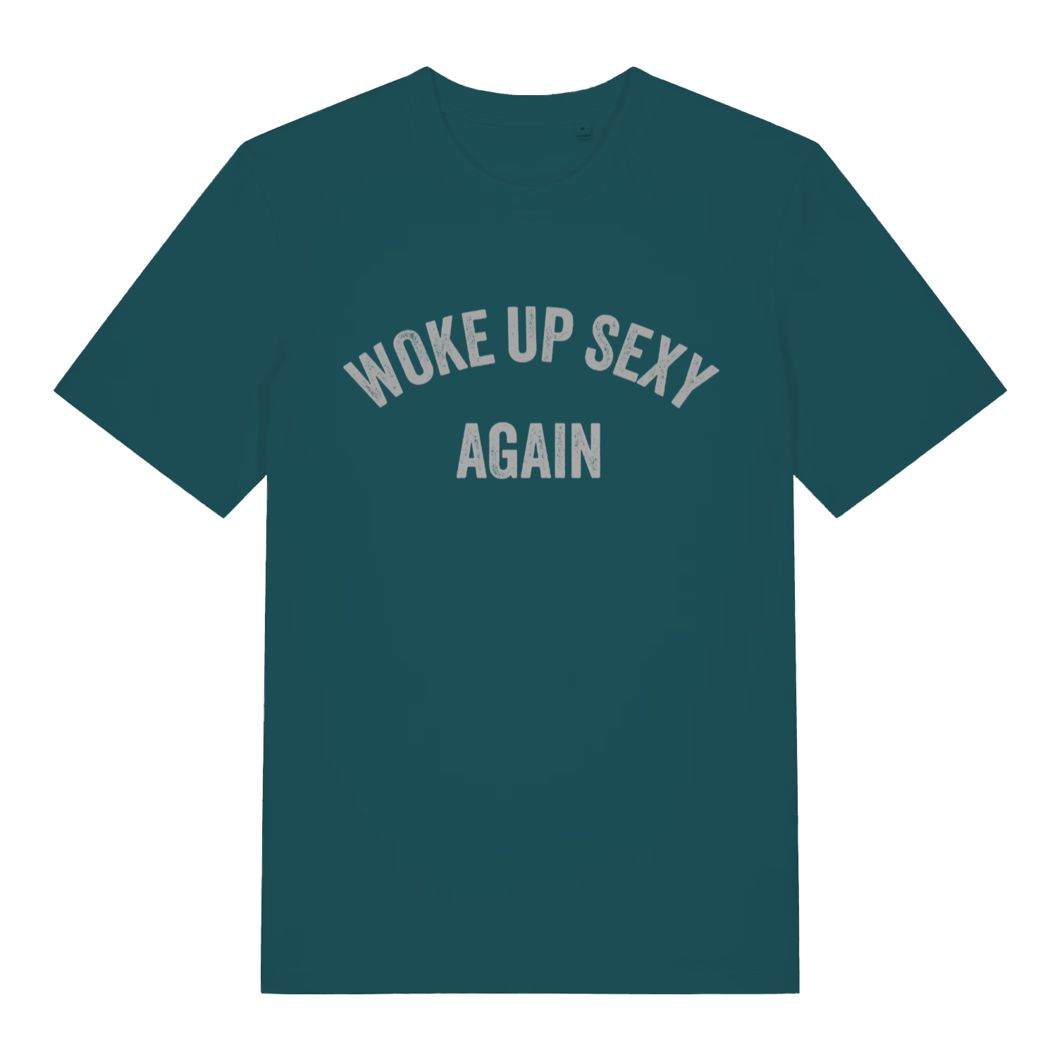 Stargazer Woke Up Sexy Again women’s funny slogan t-shirt showing distressed woke up sexy print  