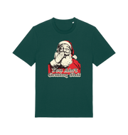 green christmas t-shirt with a graphic of santa and the slogan 'you aint getting shit'