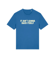 Blue offensive t-shirt with the slogan 'it ain't gonna suck itself'