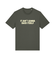 Khaki offensive t-shirt with the slogan 'it ain't gonna suck itself'