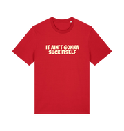 Red offensive t-shirt with the slogan 'it ain't gonna suck itself'