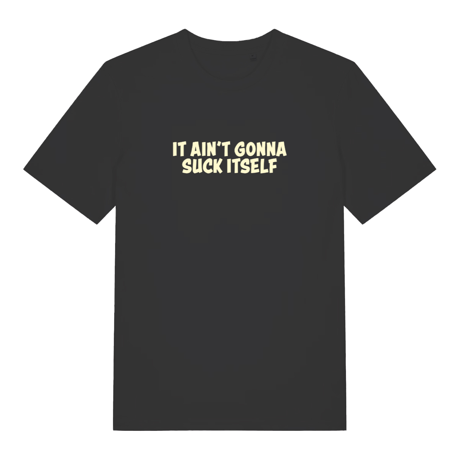 black funny offensive t-shirt with the slogan 'it aint gonna suck itself'