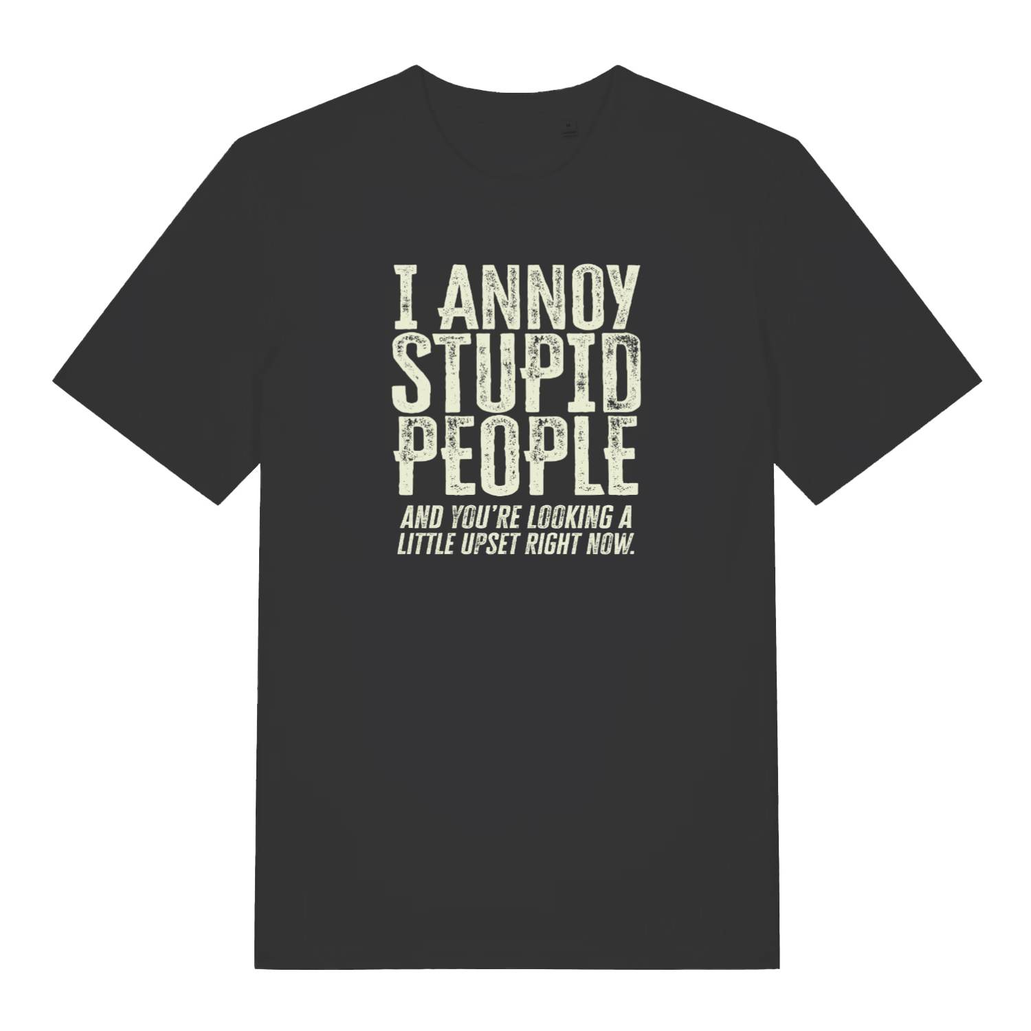 black women's funny slogan t-shirt with the text ' i annoy stupid people and you're looking a little upset right now'