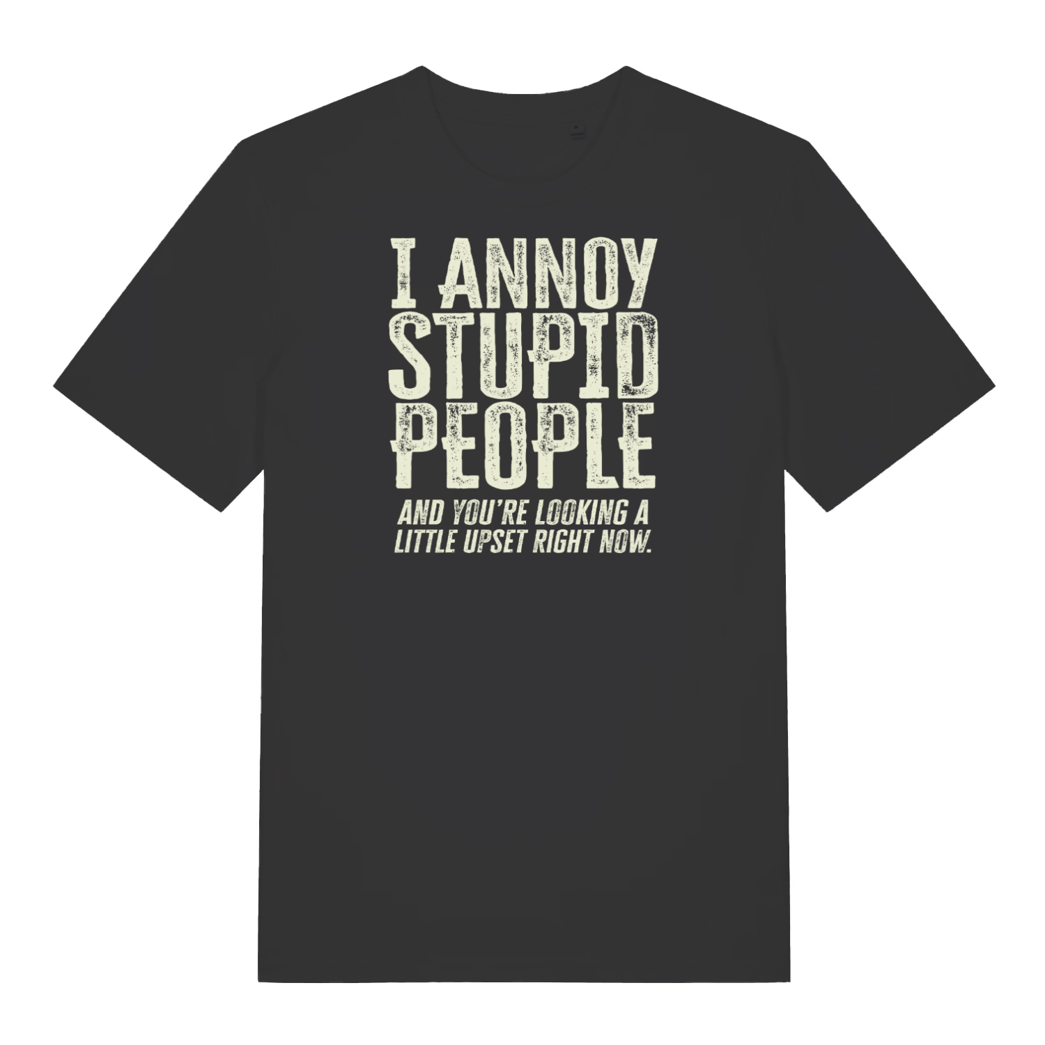 black funny slogan t-shirt with the text ' I annoy stupid people and you're looking a little upset now'