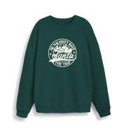 green christmas sweatshirt with the slogan 'be naughty save santa the trip'