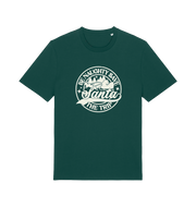 green christmas t-shirt with the slogan 'be naughty and save santa the trip'