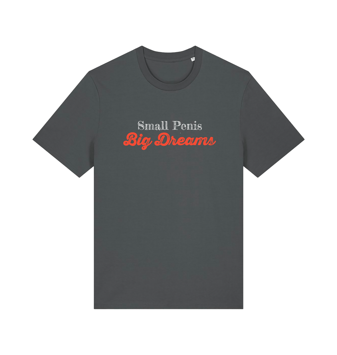 Gray offensive slogan t-shirt with 'Small Penis Big Dreams' text 