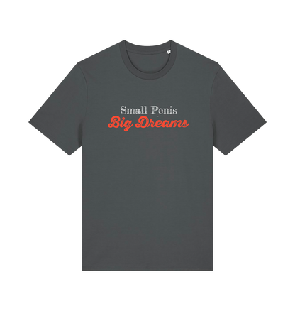 Gray offensive slogan t-shirt with 'Small Penis Big Dreams' text 