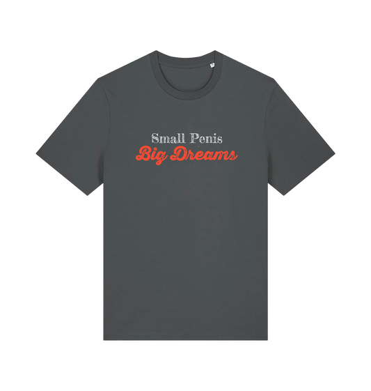 Gray offensive slogan t-shirt with 'Small Penis Big Dreams' text 
