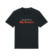 Black offensive slogan t-shirt with 'Small Penis Big Dreams' text 