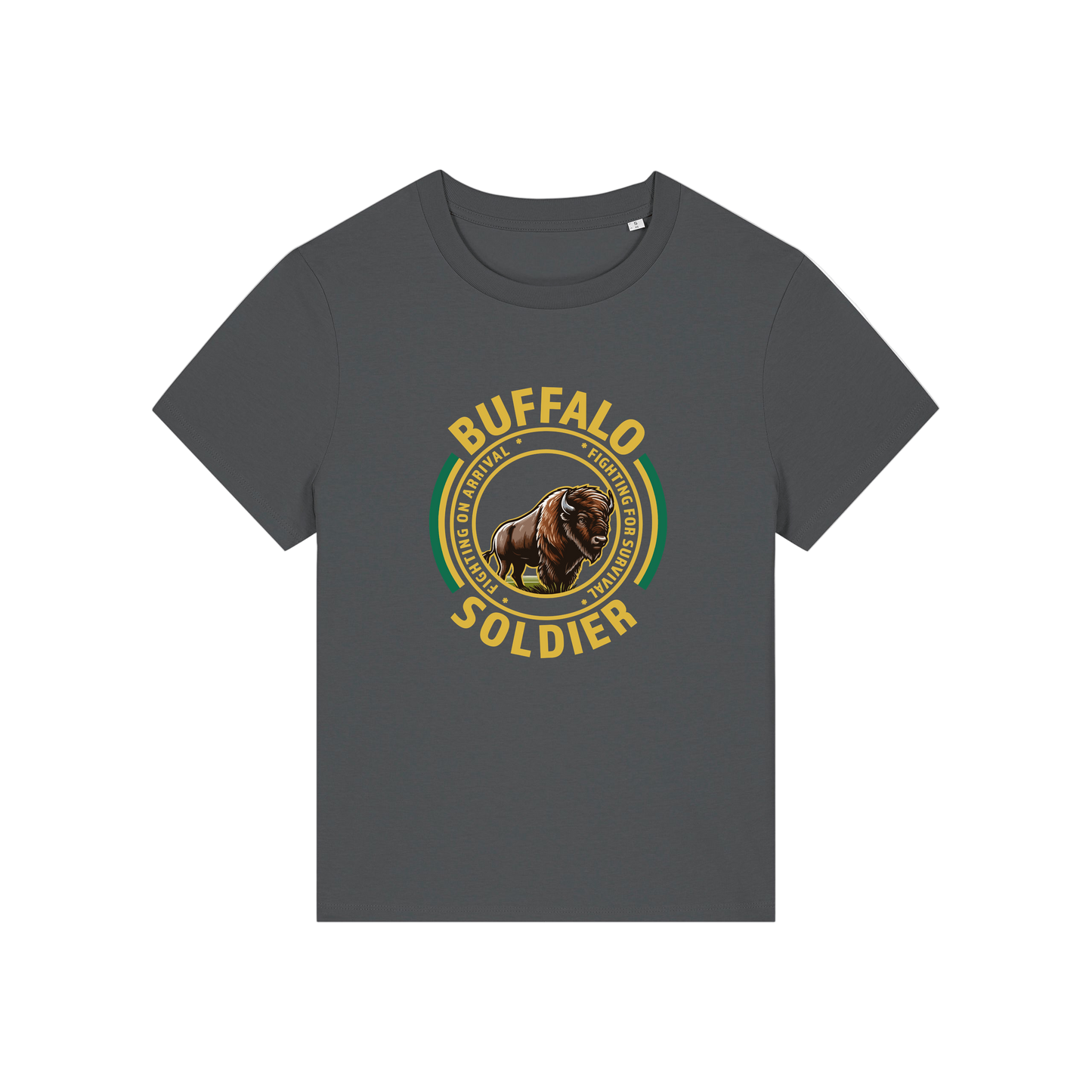 grey music t-shirt with the graphic of a buffalo and the slogan 'buffalo soldier'