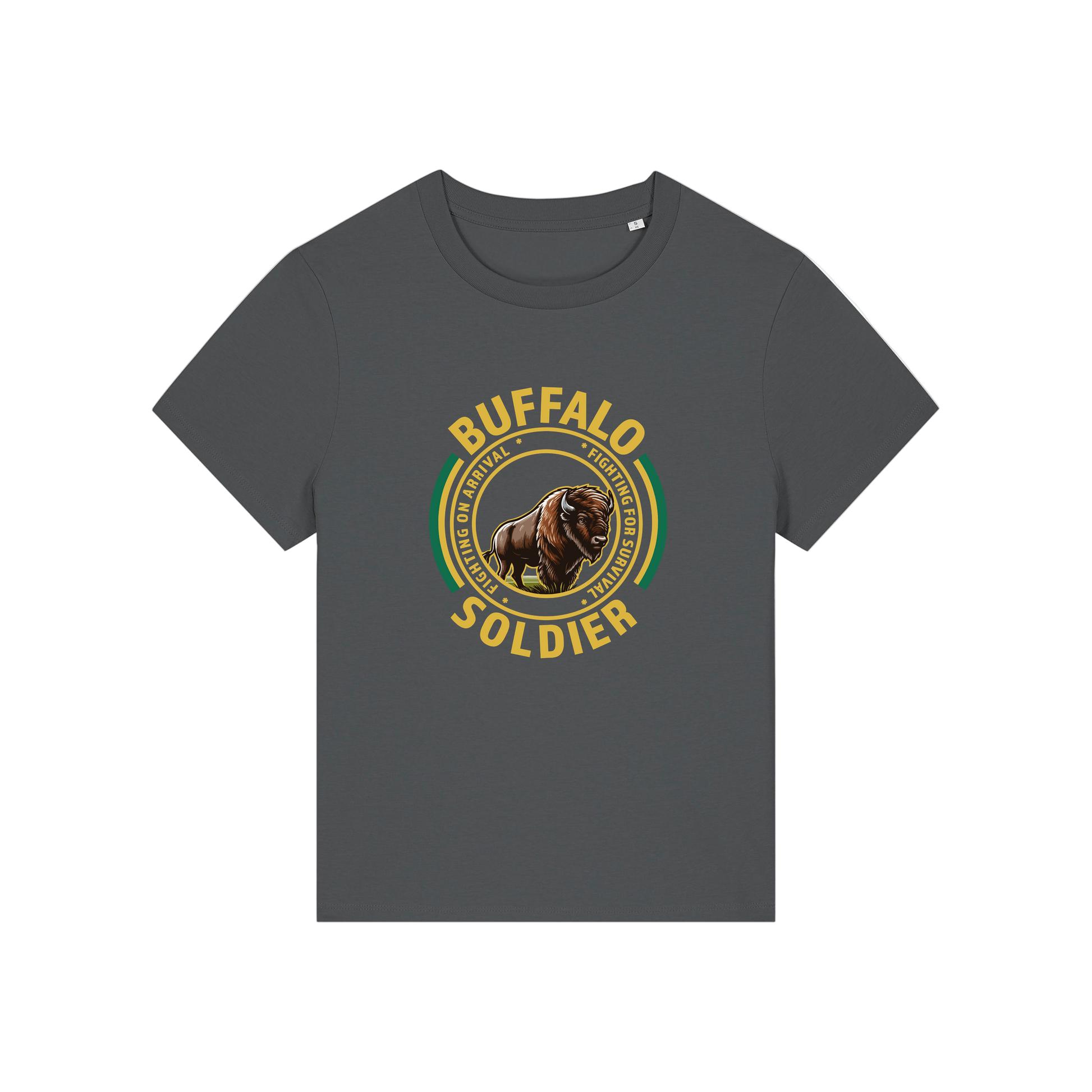 grey music t-shirt with the graphic of a buffalo and the slogan 'buffalo soldier'