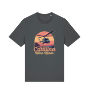 gray movie t-shirt inspired by the comedy step brothers with the text 'catalina wine mixer'