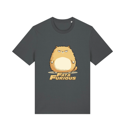 grey funny t-shirt with a cartoon cat graphic and 'Fat & Furious' slogan