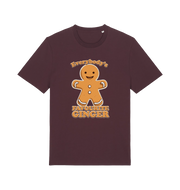 red brown christmas t-shirt with the graphic of a gingerbread man and the slogan 'everybodys favourite ginger'