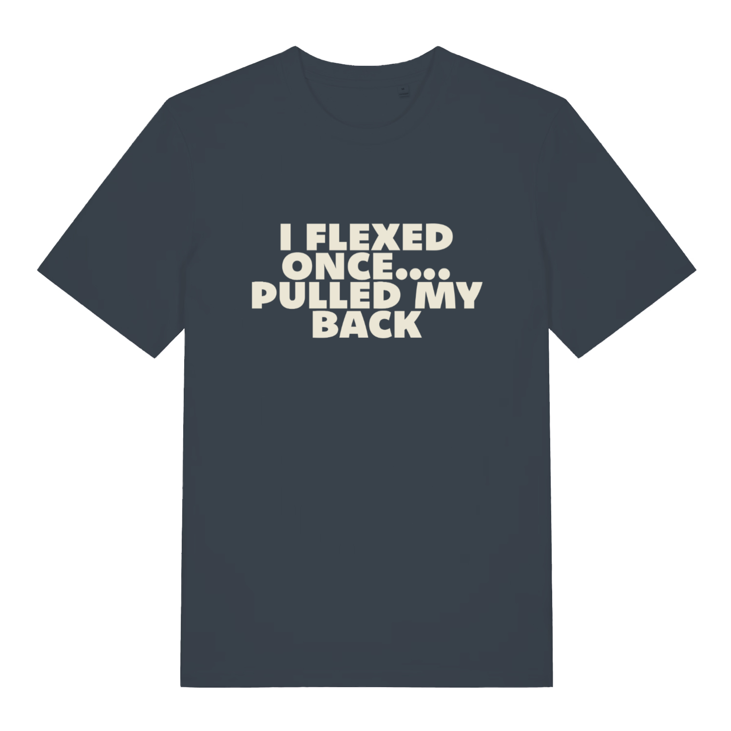 ink grey sarcastic t-shirt with the slogan 'i flexed once, pulled my back'