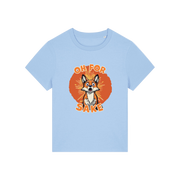 light blue funny animal t-shirt with the graphic of a fox and the slogan 'oh for fox sake'
