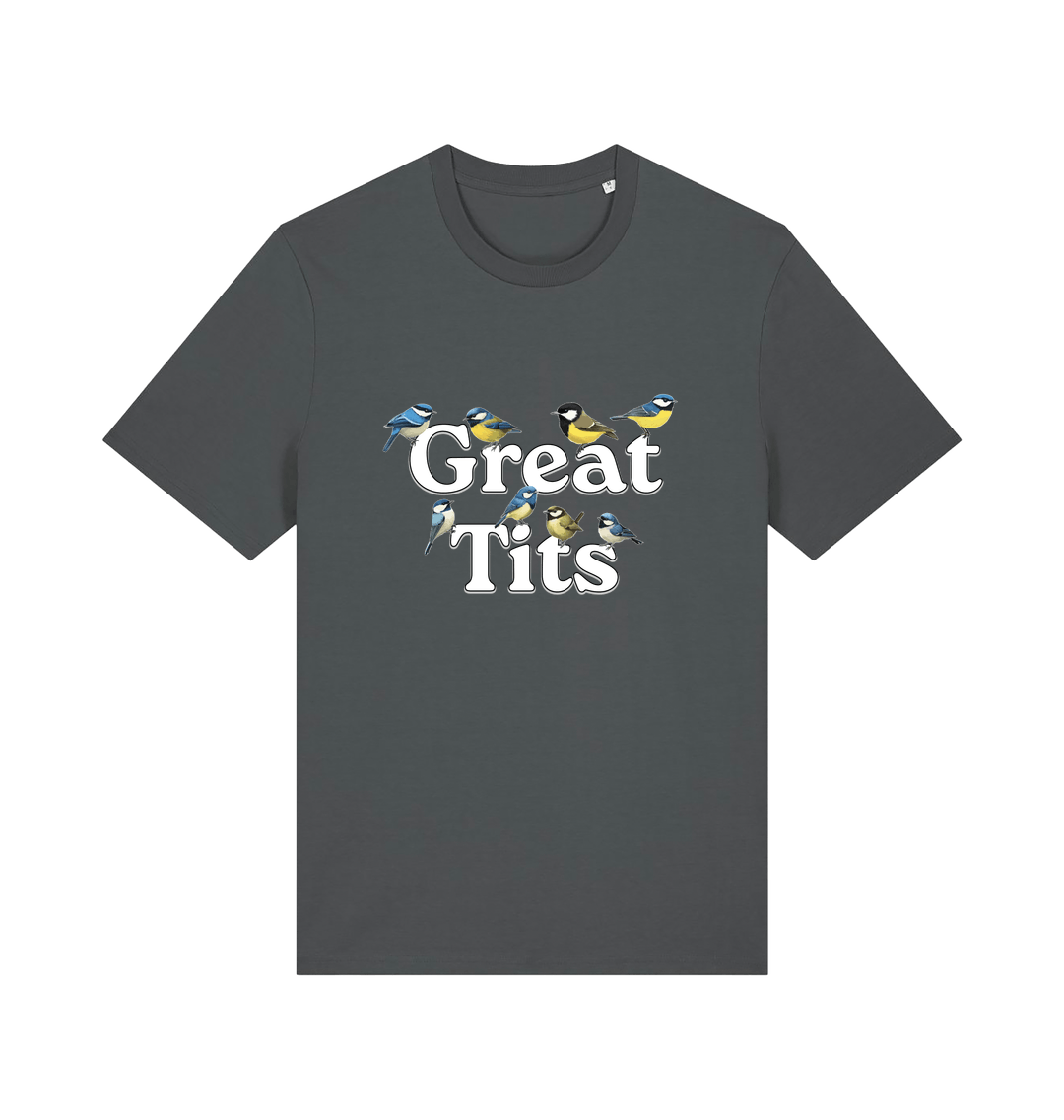 grey funny rude t-shirt with the graphic of some birds and the slogan 'great tits'
