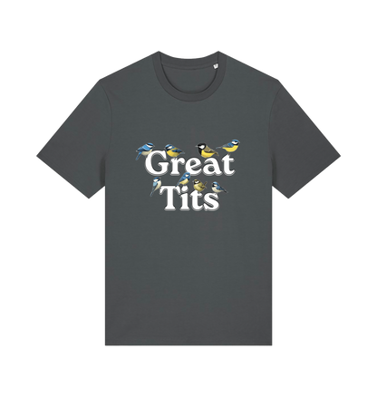 grey funny rude t-shirt with the graphic of some birds and the slogan 'great tits'