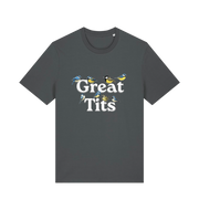grey funny rude t-shirt with the graphic of some birds and the slogan 'great tits'