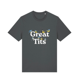 grey funny rude t-shirt with the graphic of some birds and the slogan 'great tits'