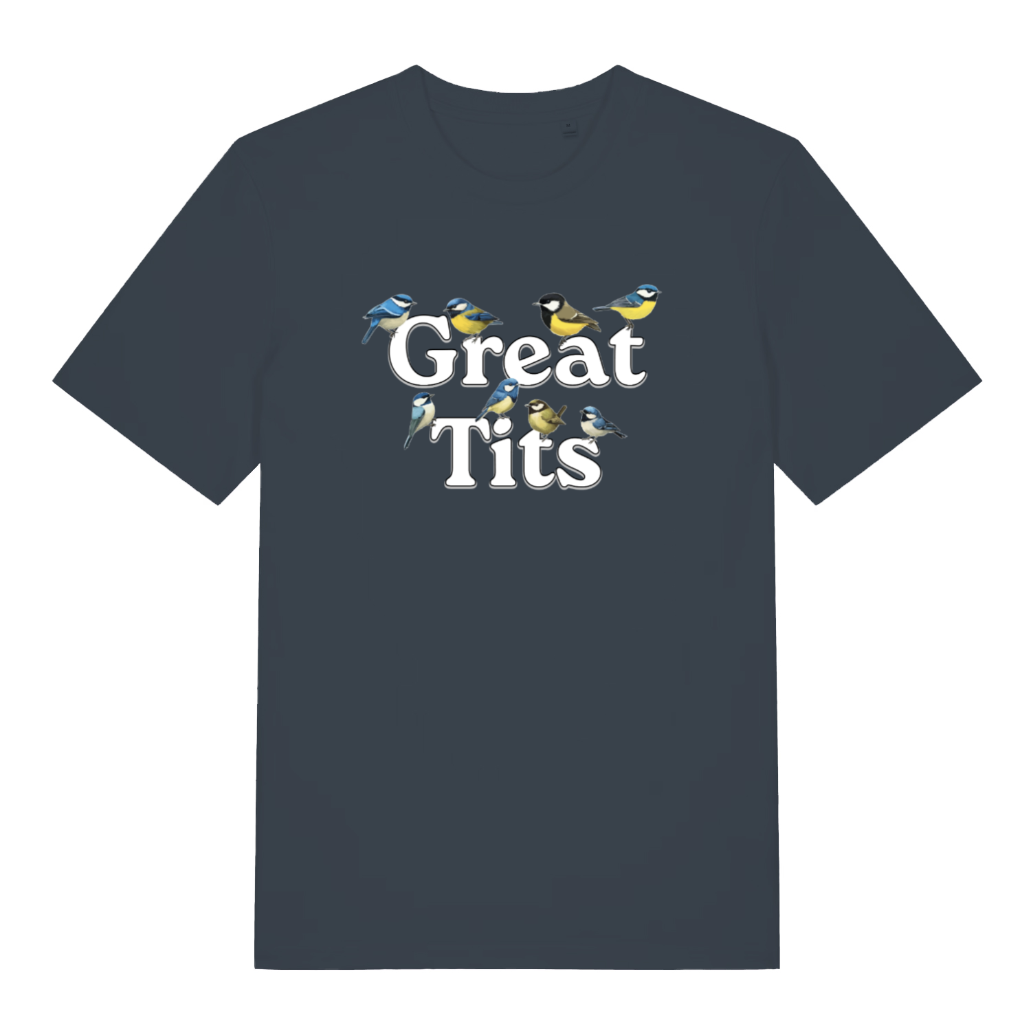 ink grey funny rude t-shirt with the graphic of some birds surrounding the words great tits