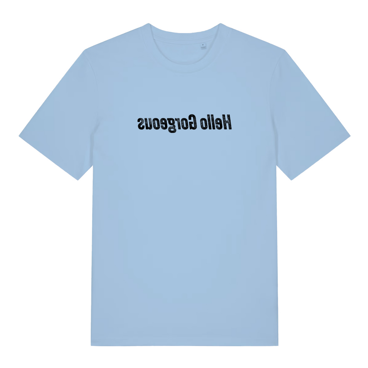 light blue women's logan t-shirt with the text 'hello gorgeous' that is written in mirror image