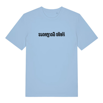 light blue women's logan t-shirt with the text 'hello gorgeous' that is written in mirror image
