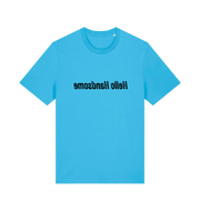 blue funny slogan t-shirt that has the slogan 'hello handsome' written backwards so that you can read it in the mirror