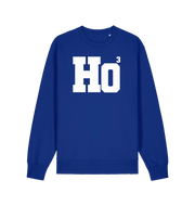 blue xmas sweater with the slogan 'ho3'