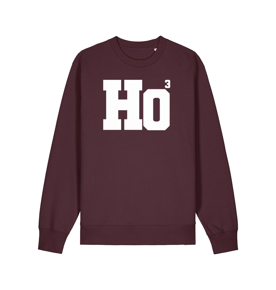 red brown xmas sweater with the slogan 'ho3'