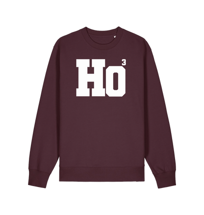 red brown xmas sweater with the slogan 'ho3'