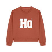 brown christmas sweater with the slogan 'ho3'