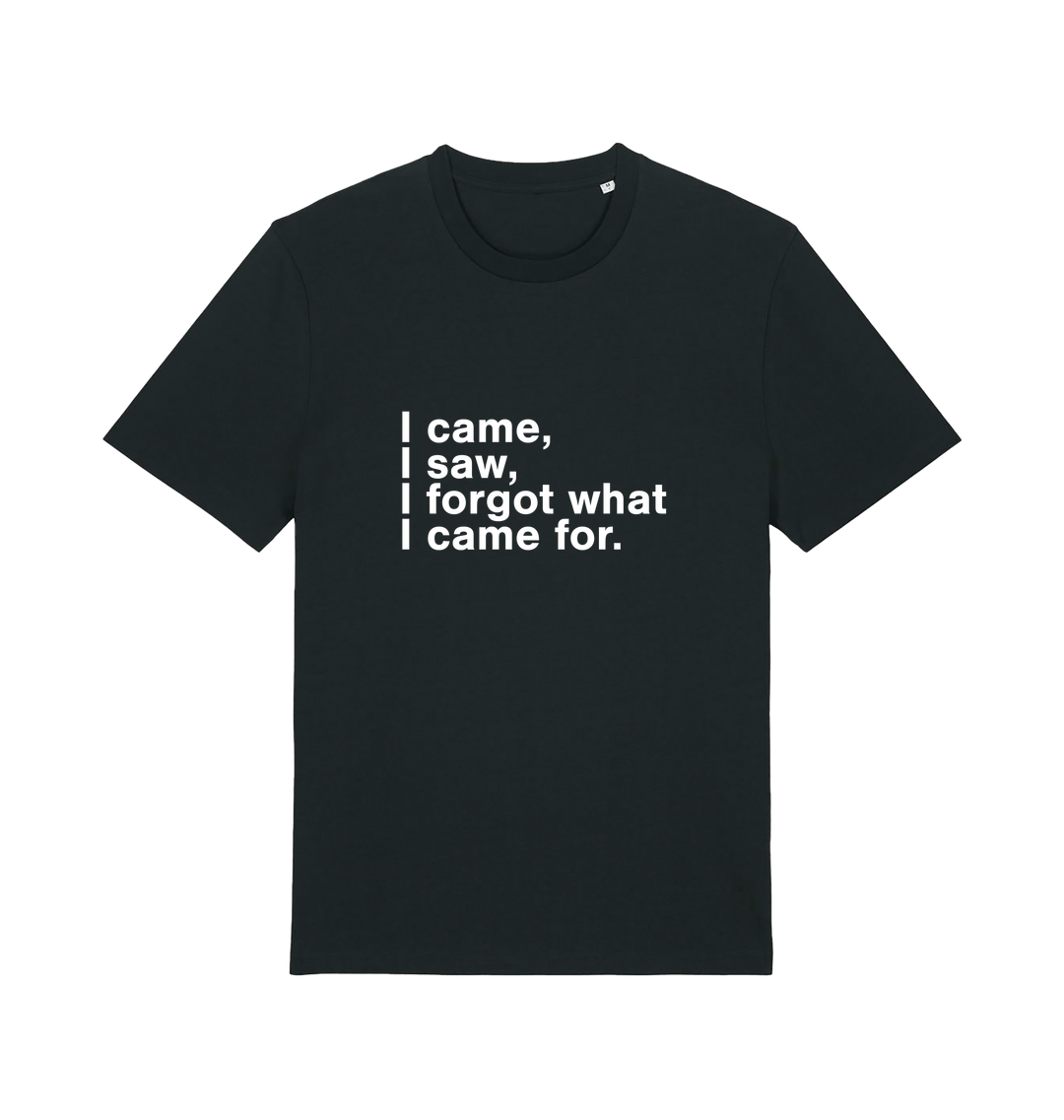 black sarcastic t-shirt with the slogan 'i came i saw i forgot what i came for'