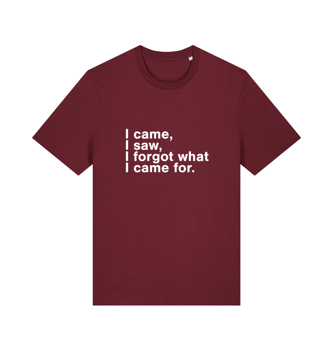 burgundy sarcastic t-shirt with the slogan 'i came i saw i forgot what i came for'
