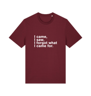 burgundy sarcastic t-shirt with the slogan 'i came i saw i forgot what i came for'