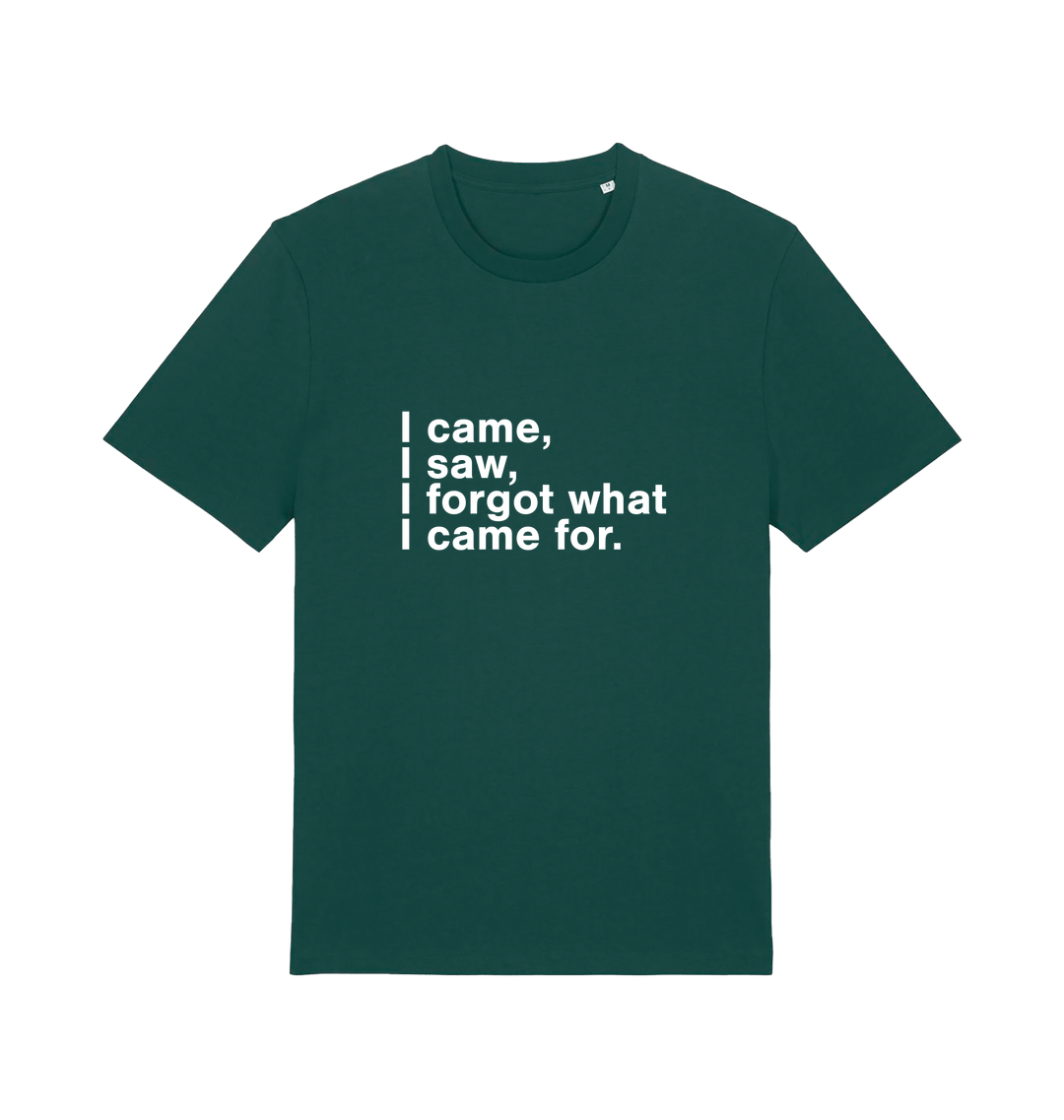green sarcastic t-shirt with the slogan 'i came i saw i forgot what i came for'