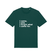 green sarcastic t-shirt with the slogan 'i came i saw i forgot what i came for'