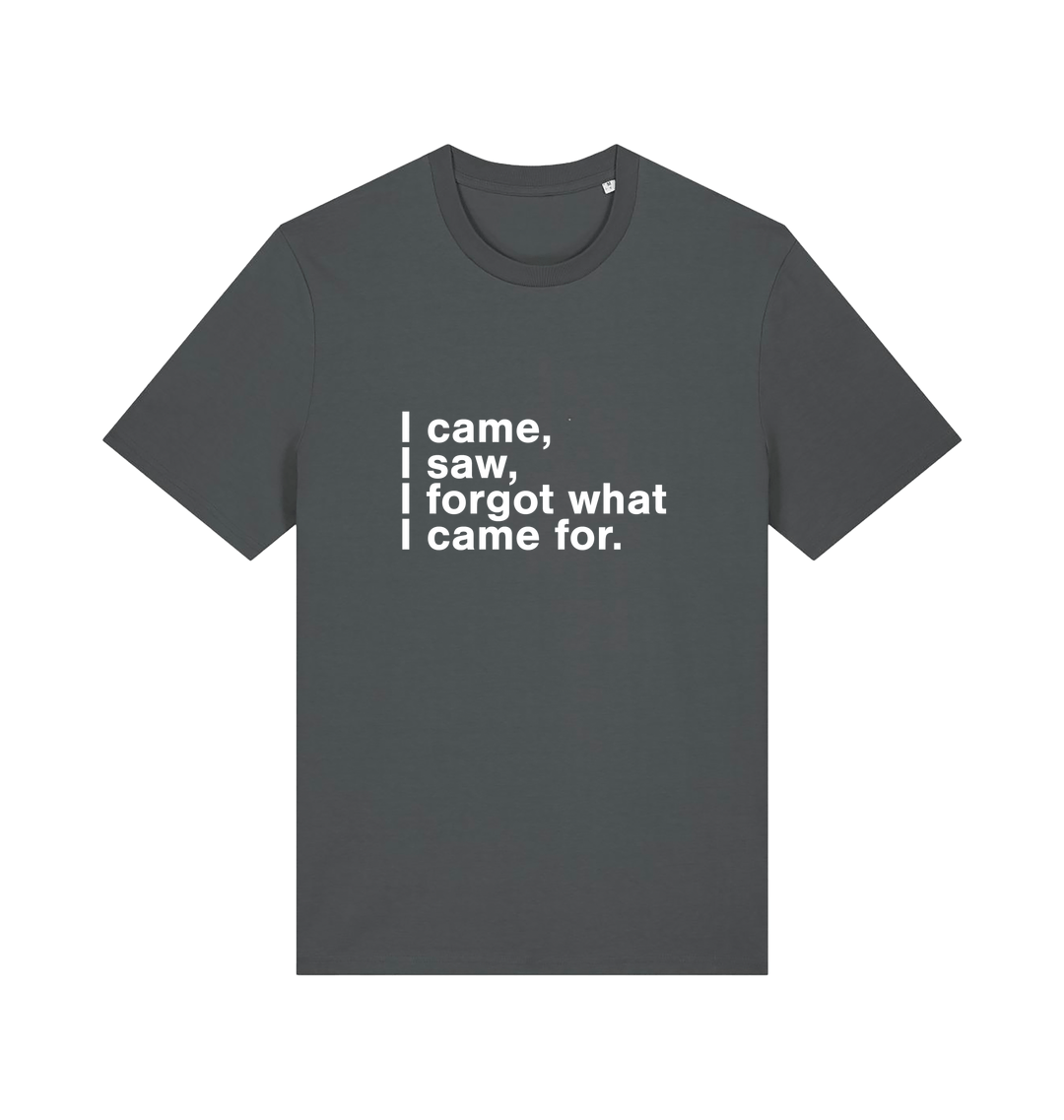 grey sarcastic t-shirt with the slogan 'i came i saw i forgot what i came for'
